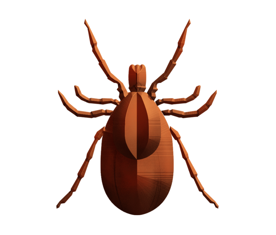 Tickborne Diseases Test (Vibrant-America)