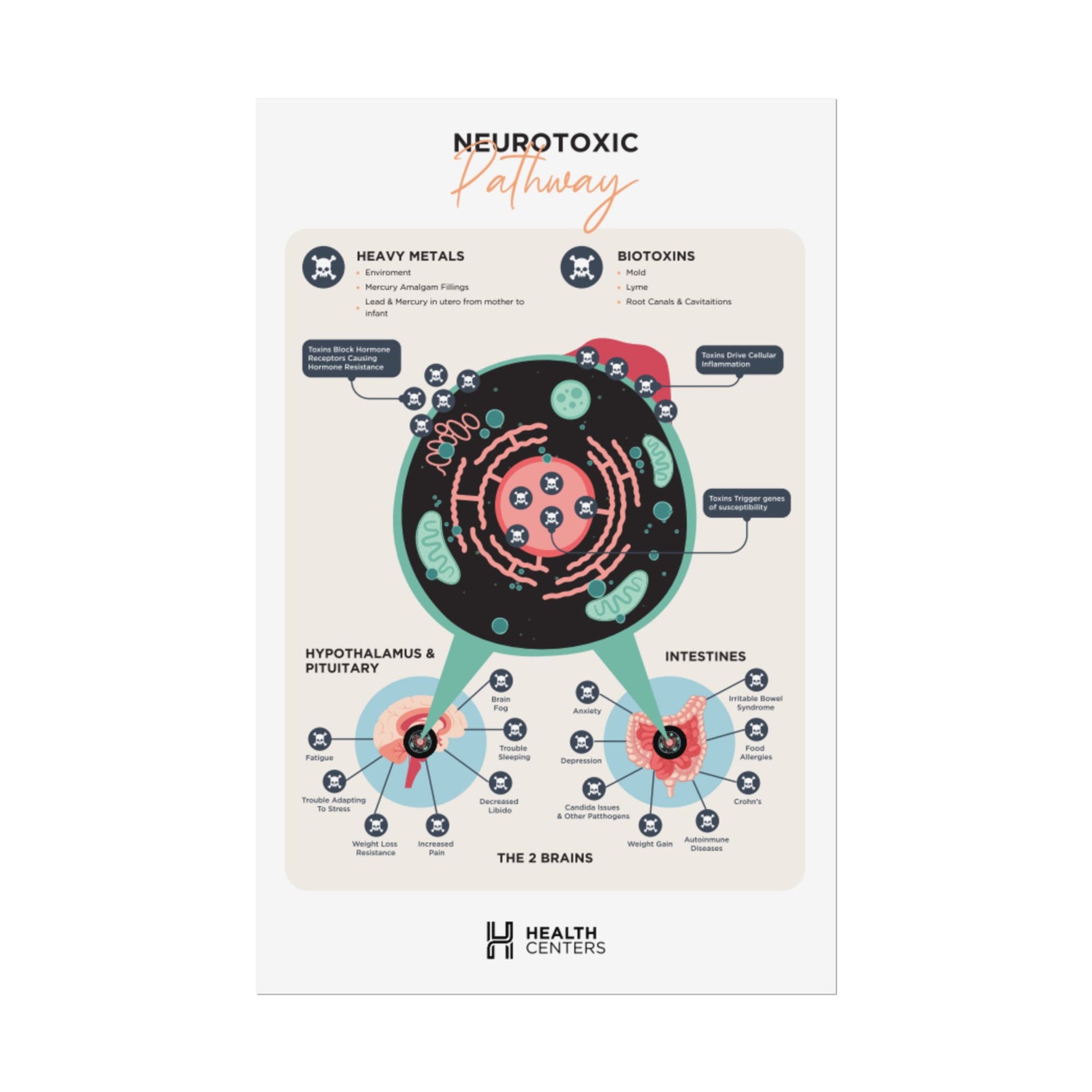 Neurotoxic Pathway Poster