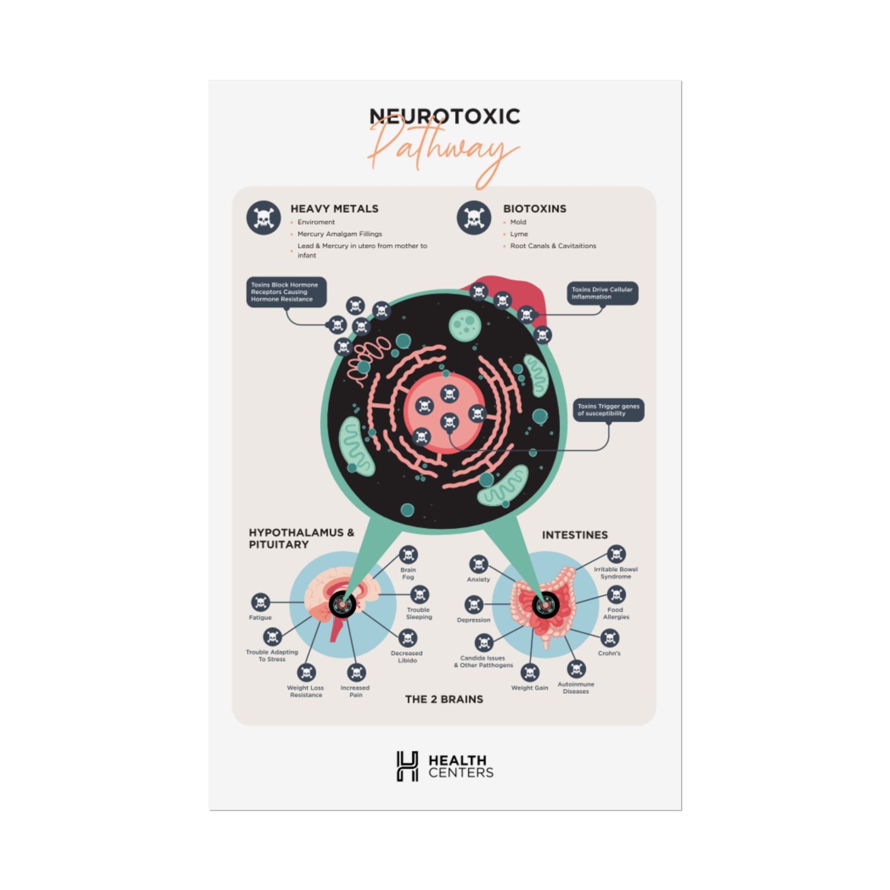 Neurotoxic Pathway Poster