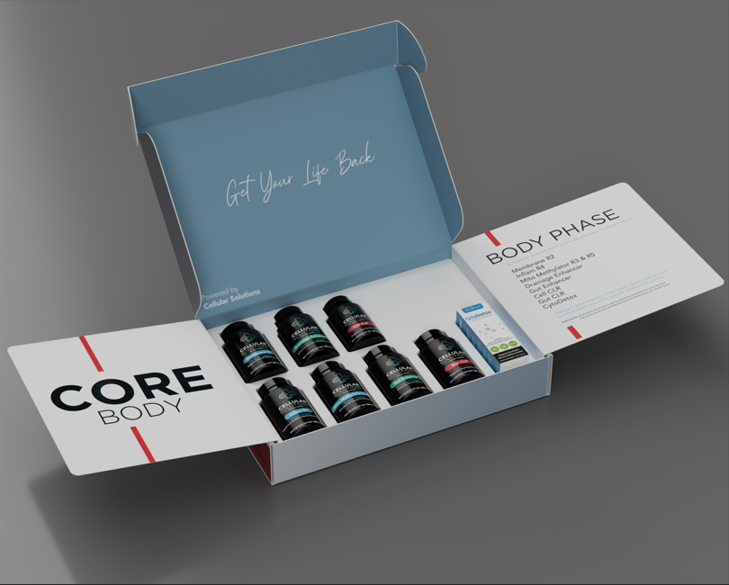 Core Body Kit