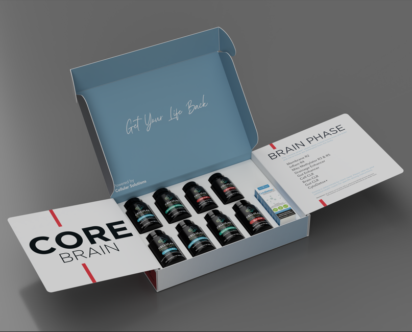 Core Brain Kit
