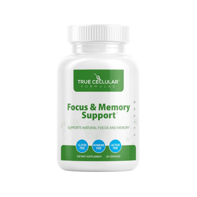 Focus and Memory Support