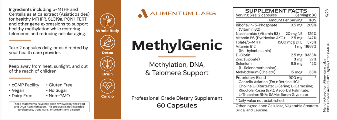 MethylGenic