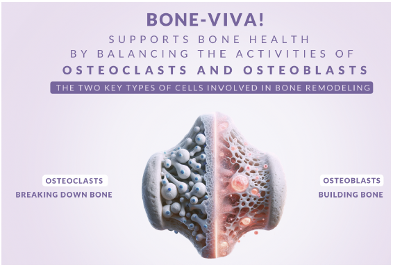 NViroMune – Bone Viva