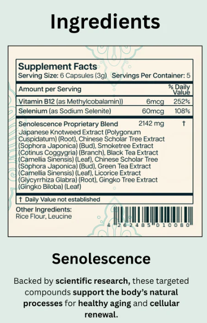 Senolescence